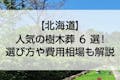 【2022年版】北海道のおすすめ樹木葬6選！費用相場とペットの可否で徹底比較