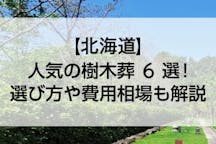 【2022年版】北海道のおすすめ樹木葬6選！費用相場とペットの可否で徹底比較