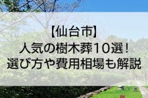 【2022年版】仙台市のおすすめ樹木葬10選！費用相場とペットの可否で徹底比較