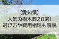 【2022年版】愛知県のおすすめ樹木葬20選！費用相場とペットの可否で徹底比較