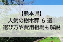 【2022年版】熊本県のおすすめ樹木葬6選！費用相場とペットの可否で徹底比較