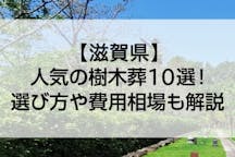 滋賀県のおすすめ樹木葬10選！費用相場とペットの可否で徹底比較