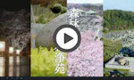 森林公園 昭和浄苑 樹木葬