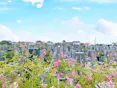 埼玉霊園