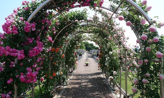 新埼玉霊園(杉戸町)