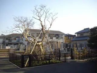 行徳墓園
