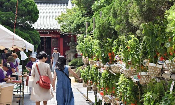 小石川 源覚寺墓苑