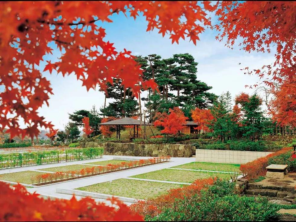 東京霊園(八王子市)の樹木葬