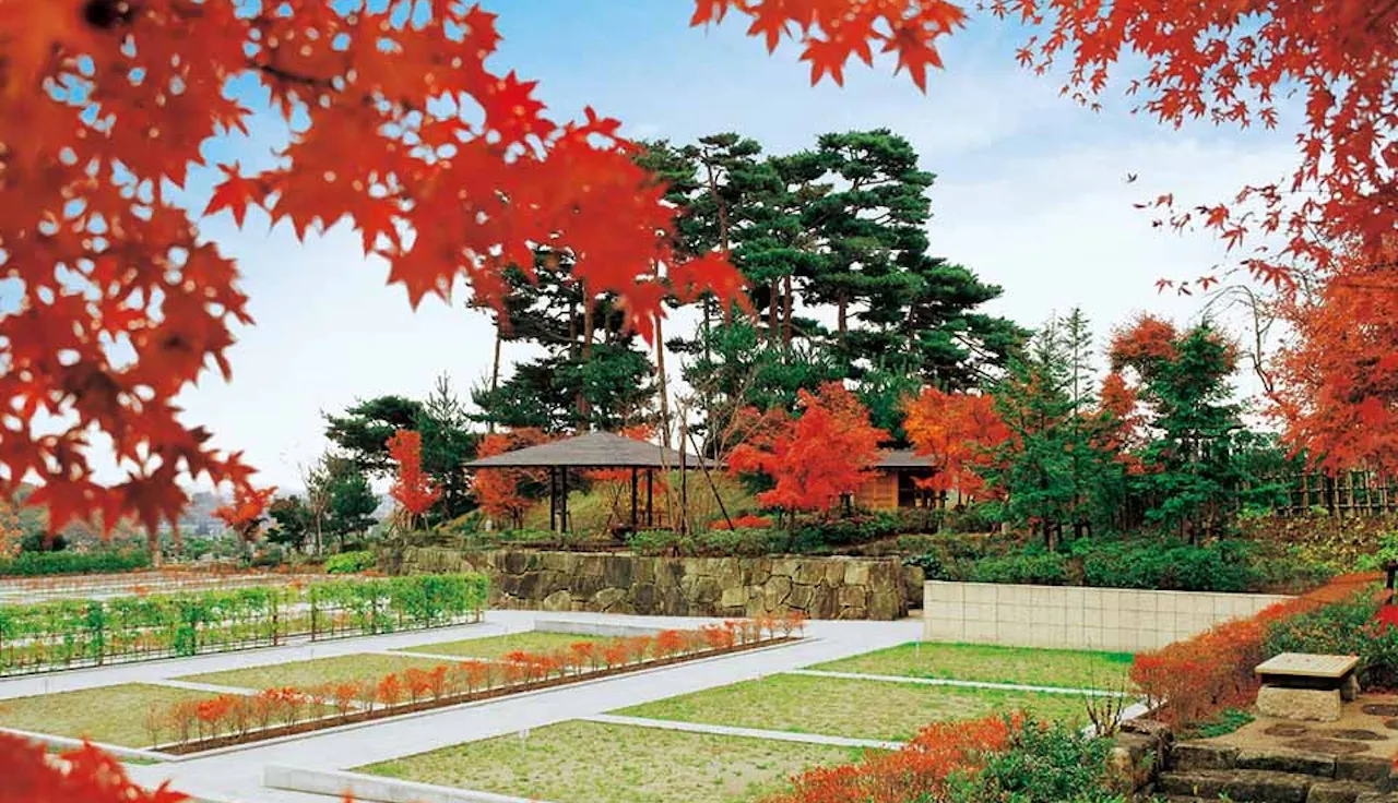 東京霊園(八王子市)の樹木葬