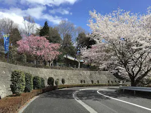 武蔵岡霊園(町田市)の霊園・墓地