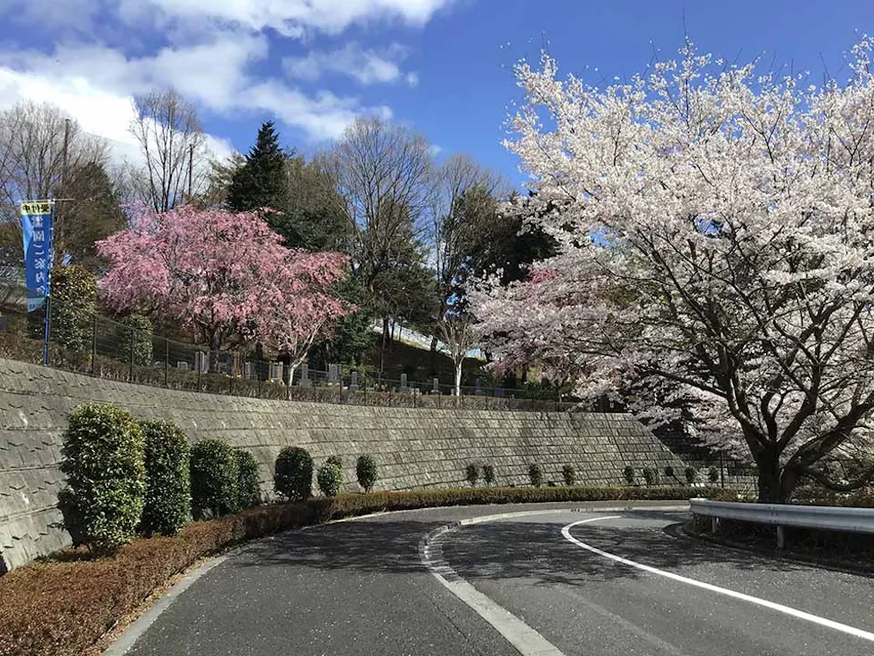 武蔵岡霊園(町田市)の霊園・墓地