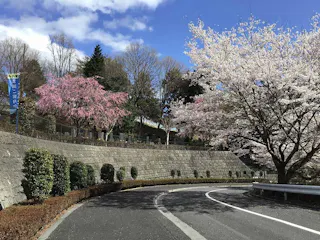 武蔵岡霊園