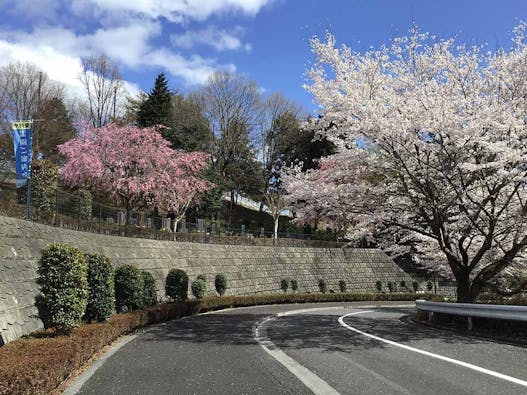 武蔵岡霊園