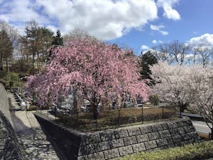 武蔵岡霊園の画像