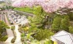 メモリアルフォレスト多摩 春には桜が満開の「青龍の滝」と墓域