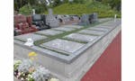 ヒルズ川崎聖地 新区画テラス1.08㎡には、玉竜が植えられ、ゆとりのある墓所になっています。