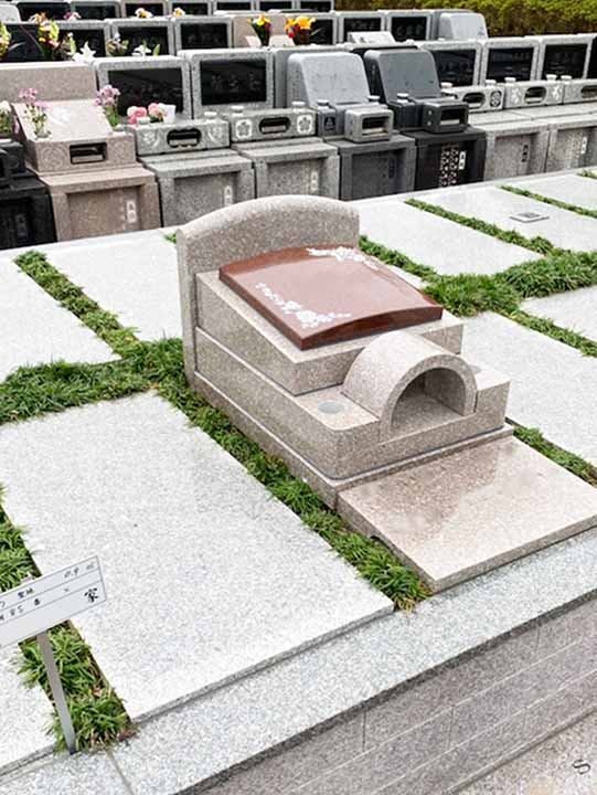 ヒルズ川崎聖地