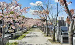 建功寺菊名墓地