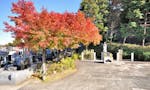 建功寺菊名墓地 秋には紅葉が彩りを添えます