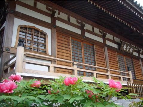 臨済宗大本山円覚寺山内 白雲庵の画像