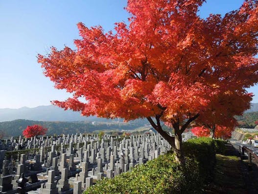 比叡山延暦寺大霊園