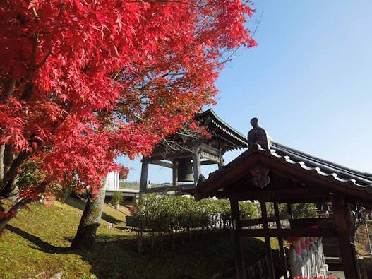 比叡山延暦寺大霊園