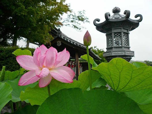 比叡山延暦寺大霊園