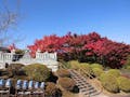 京都霊園 秋の紅葉も美しい