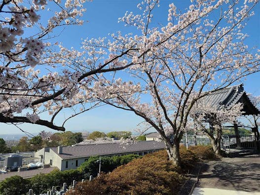 京都桃山霊苑