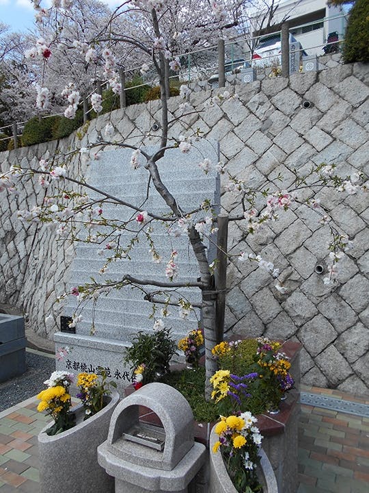 京都桃山霊苑 一般墓・永代供養墓