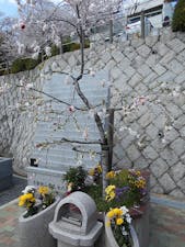 京都桃山霊苑 一般墓・永代供養墓の画像