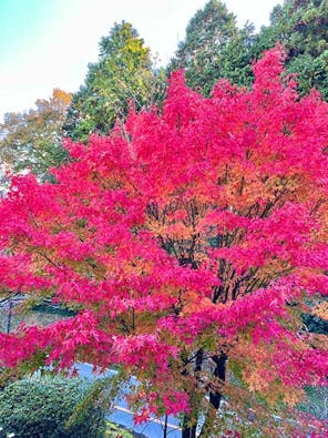 高槻霊園