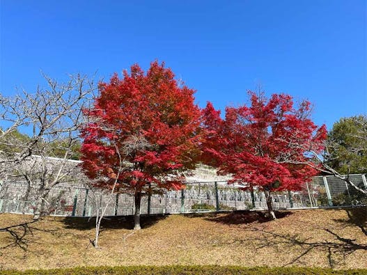 高槻霊園