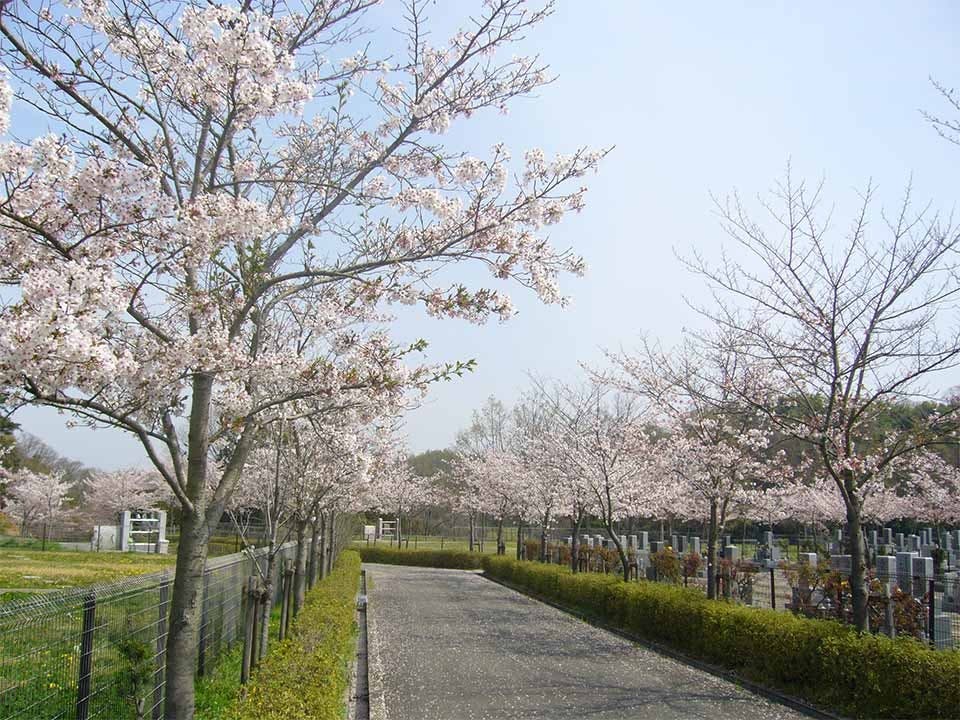 京阪奈墓地公園
