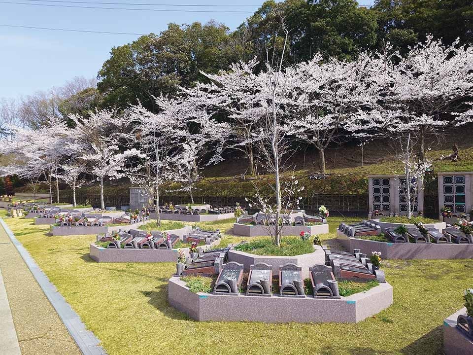 大阪生駒霊園 園内風景（桜の季節）