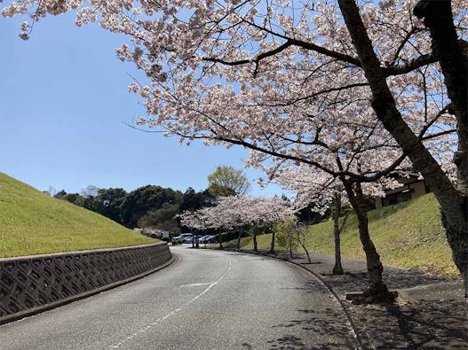 百合ヶ丘霊園