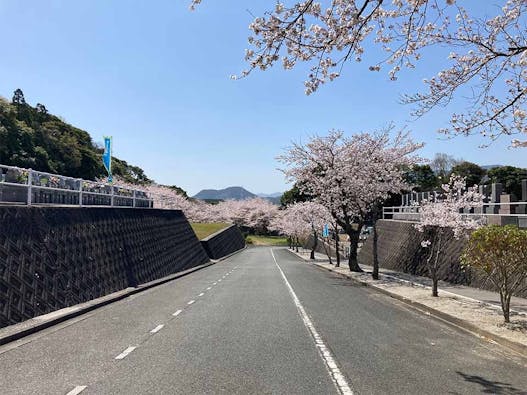 百合ヶ丘霊園