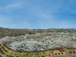 築地本願寺 西多摩霊園
