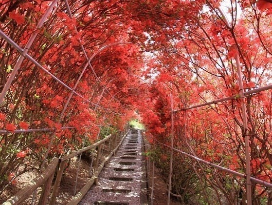 築地本願寺 西多摩霊園