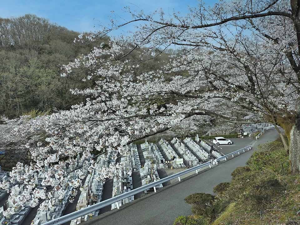 築地本願寺 西多摩霊園