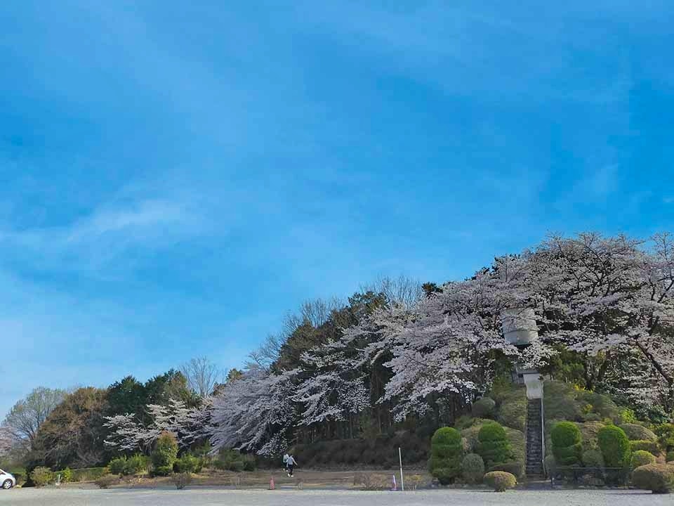 築地本願寺 西多摩霊園