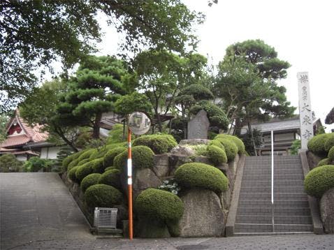 大泉寺墓所の画像