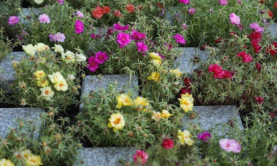 観音寺五日市墓苑