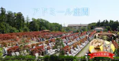 アドミール座間 アドミール座間