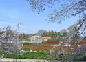 アドミール座間 芹沢公園に隣接した未緑あふれる好環境