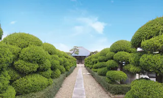 法林寺