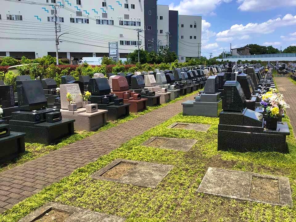 南大沢バードヒルズ(ハヤブサバレー)