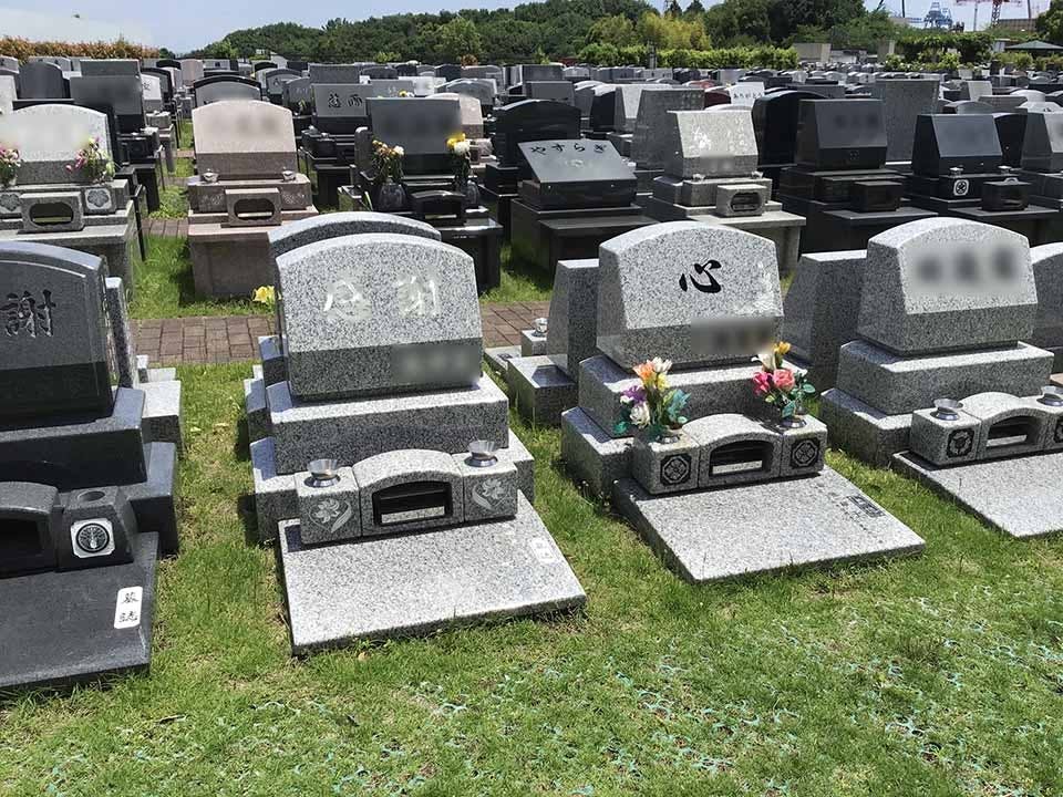 南大沢バードヒルズ(ハヤブサバレー)