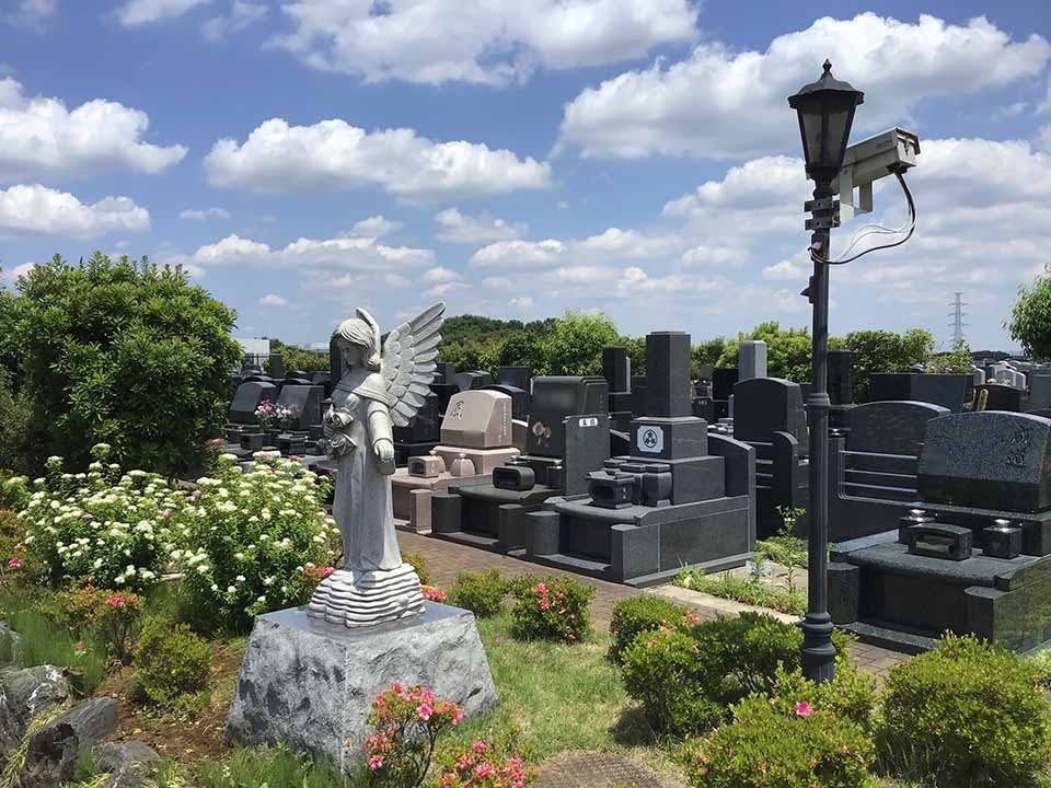 南大沢バードヒルズ(ハヤブサバレー)