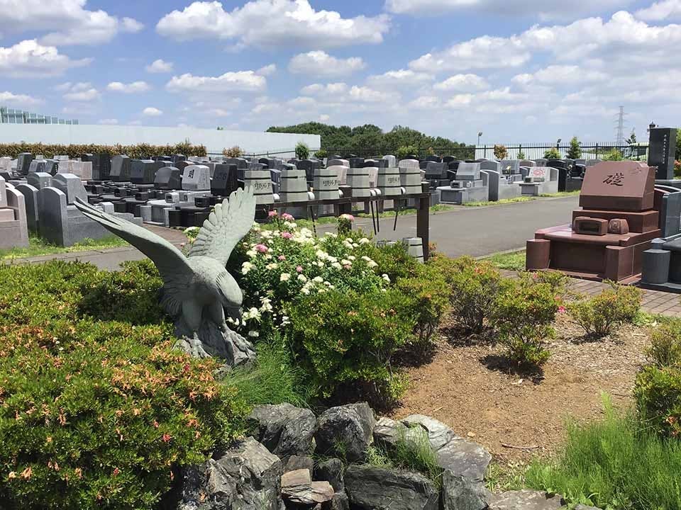 南大沢バードヒルズ(ハヤブサバレー)